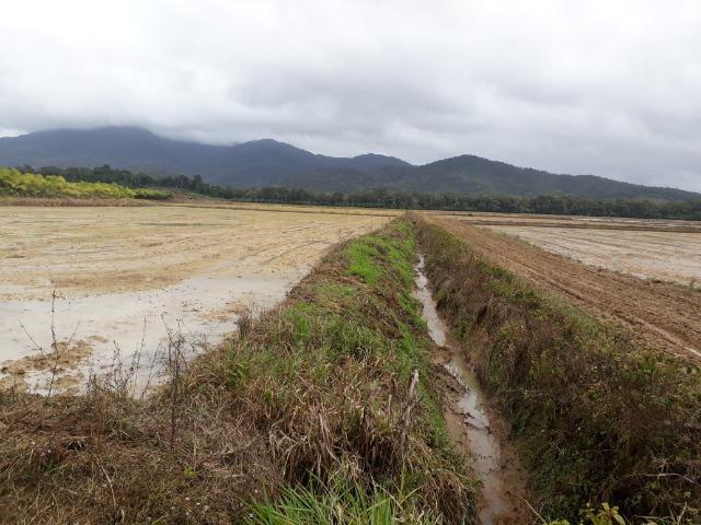 Fazenda Linda para Plantio de Arroz, Aceita parte Parcelado - Foto 17