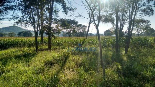 Área à venda, 290400 m² por R$ 1.200.000,00 - Zona Rural - Nazario/GO