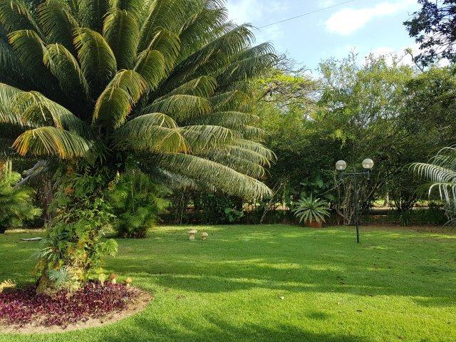 Linda casa estilo rústico no melhor condomínio de Aldeia | Oficial Aldeia Imóveis - Foto 17