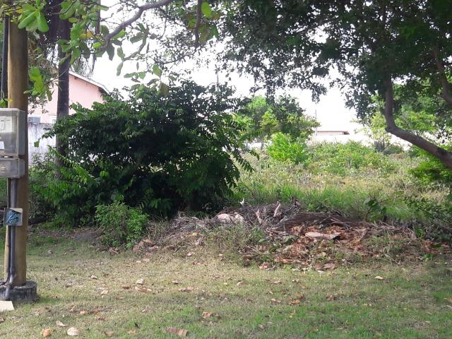 Terreno com 654m2 condominio parque do jacuipe - Foto 8