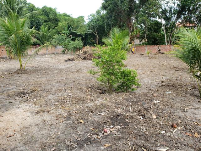 Terreno grande e bem localizado - Foto 4