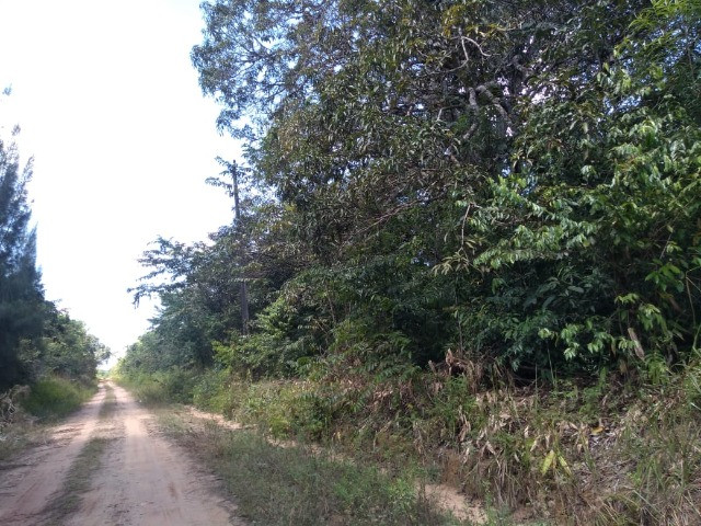 50 hectares na estrada de igarapé açu por 170 mil reais documentada - Foto 8