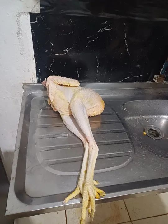 Frango caipira - Foto 4