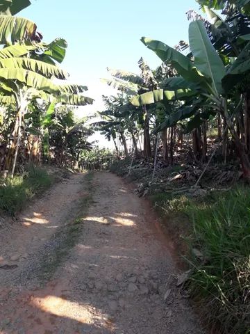 Fazenda 80 alqueires...Miracatu-SP com bananal - Foto 5
