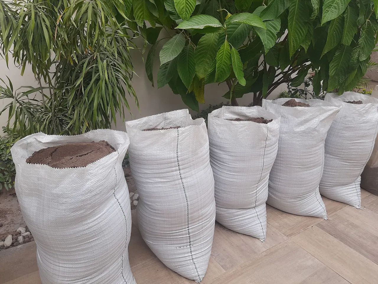 Mais de seis sacos de areia média! Você leva tudo por apenas 40 reais. Urgente, desapegar!