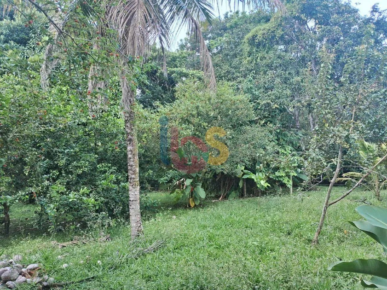 Terreno de 1.250 m² no Centro de Serra Grande - Foto 5