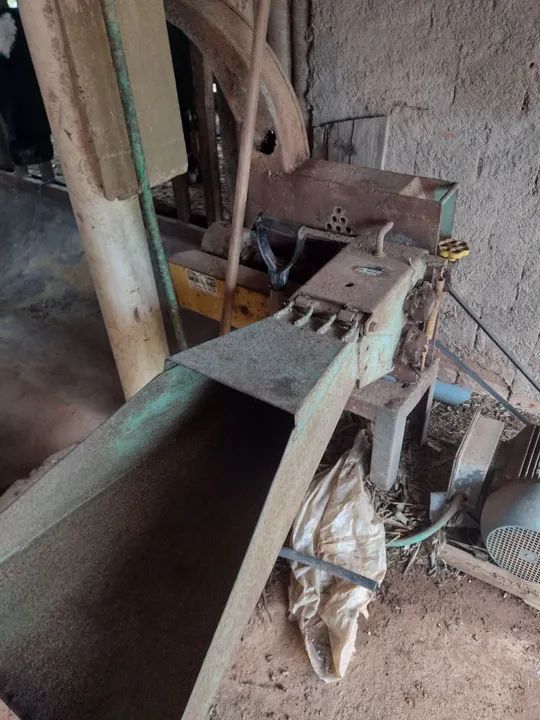 Ensiladeira - Foto 2