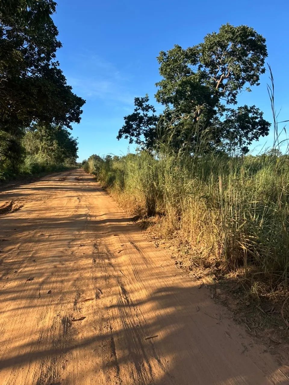 Fazenda 51 alqueires em Peixe Tocantins  - Foto 2