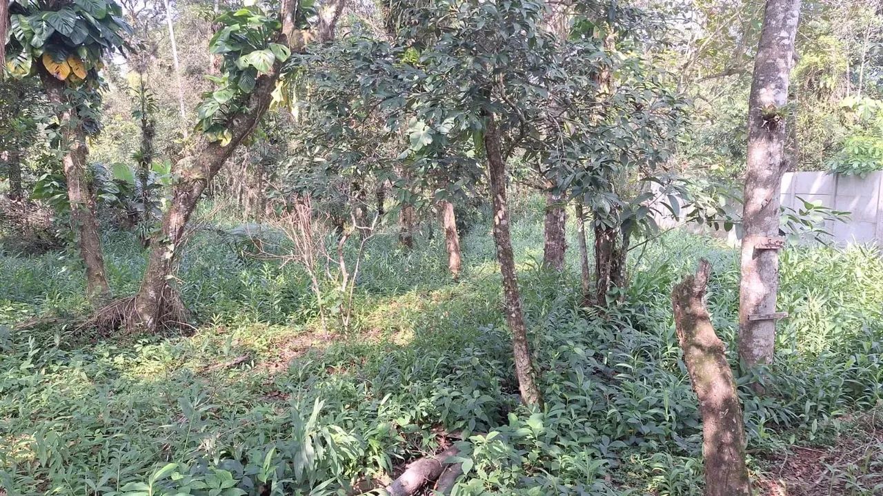 Chácara em Bertioga - Condomínio Parque Caiubura - Foto 3