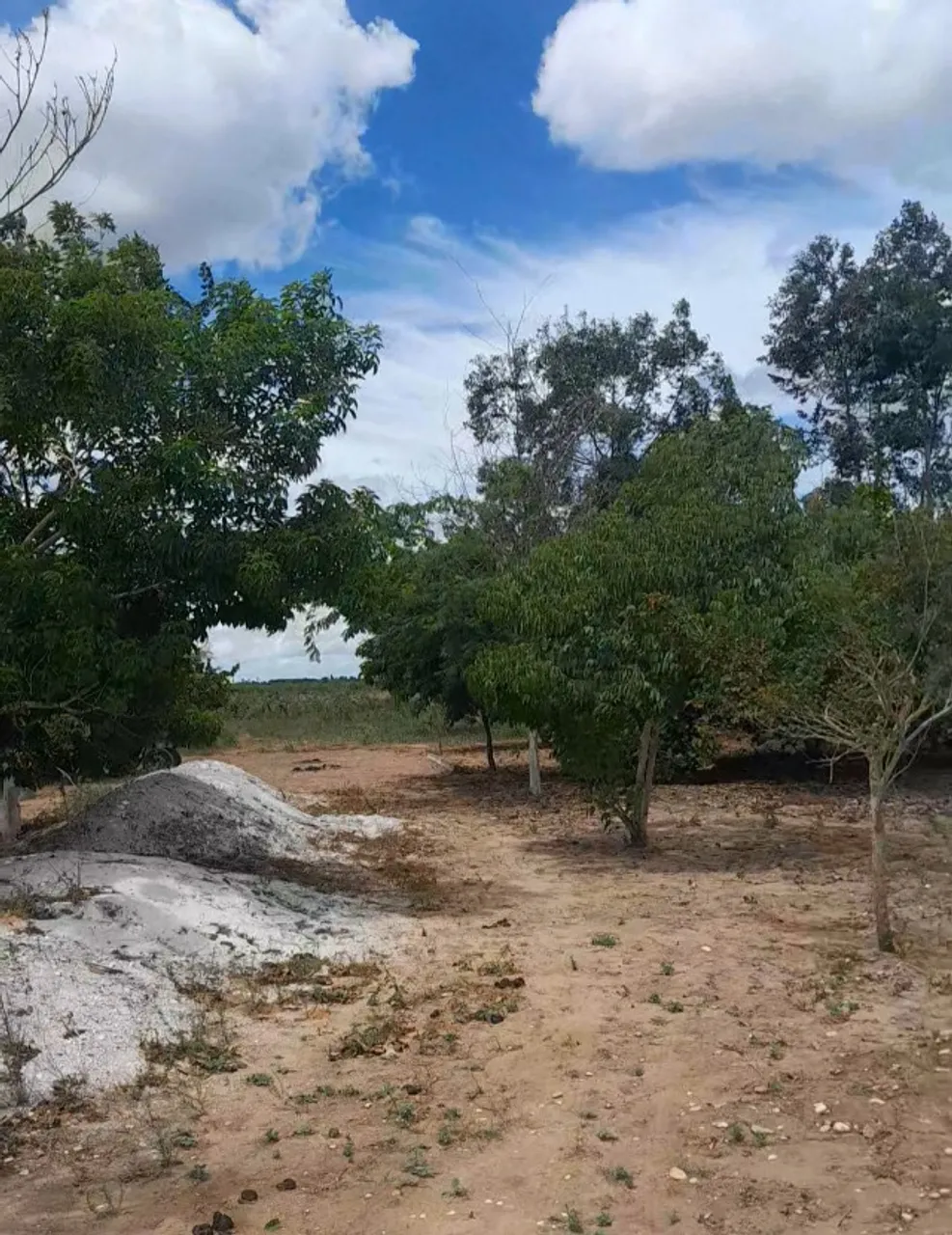 CHÁCARA À VENDA NA COOPERATIVA 1 NÚCLEO