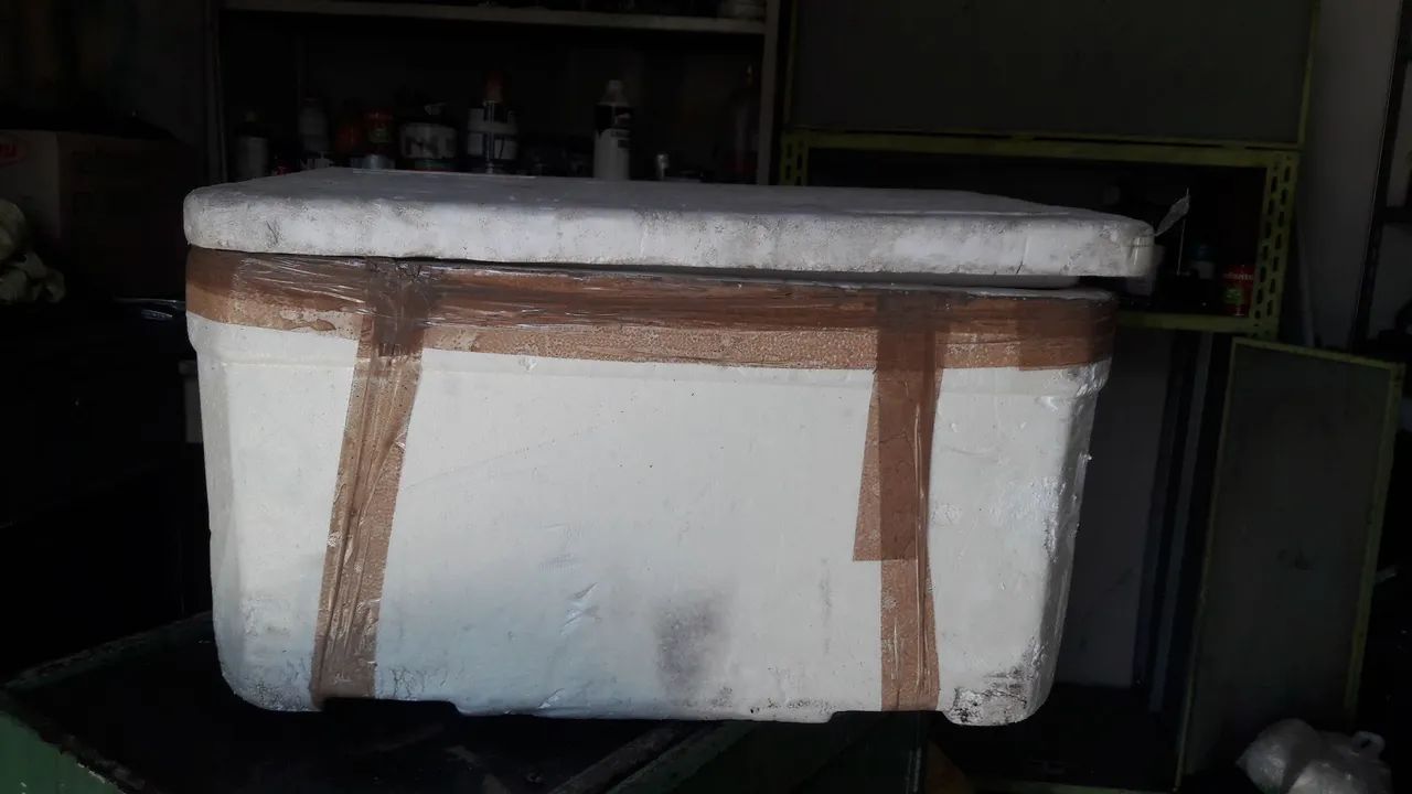 Três caixas de isopor grandes 