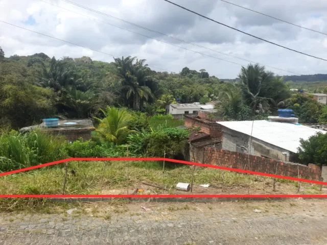 Foto - São Lourenço da Mata - Capibaribe