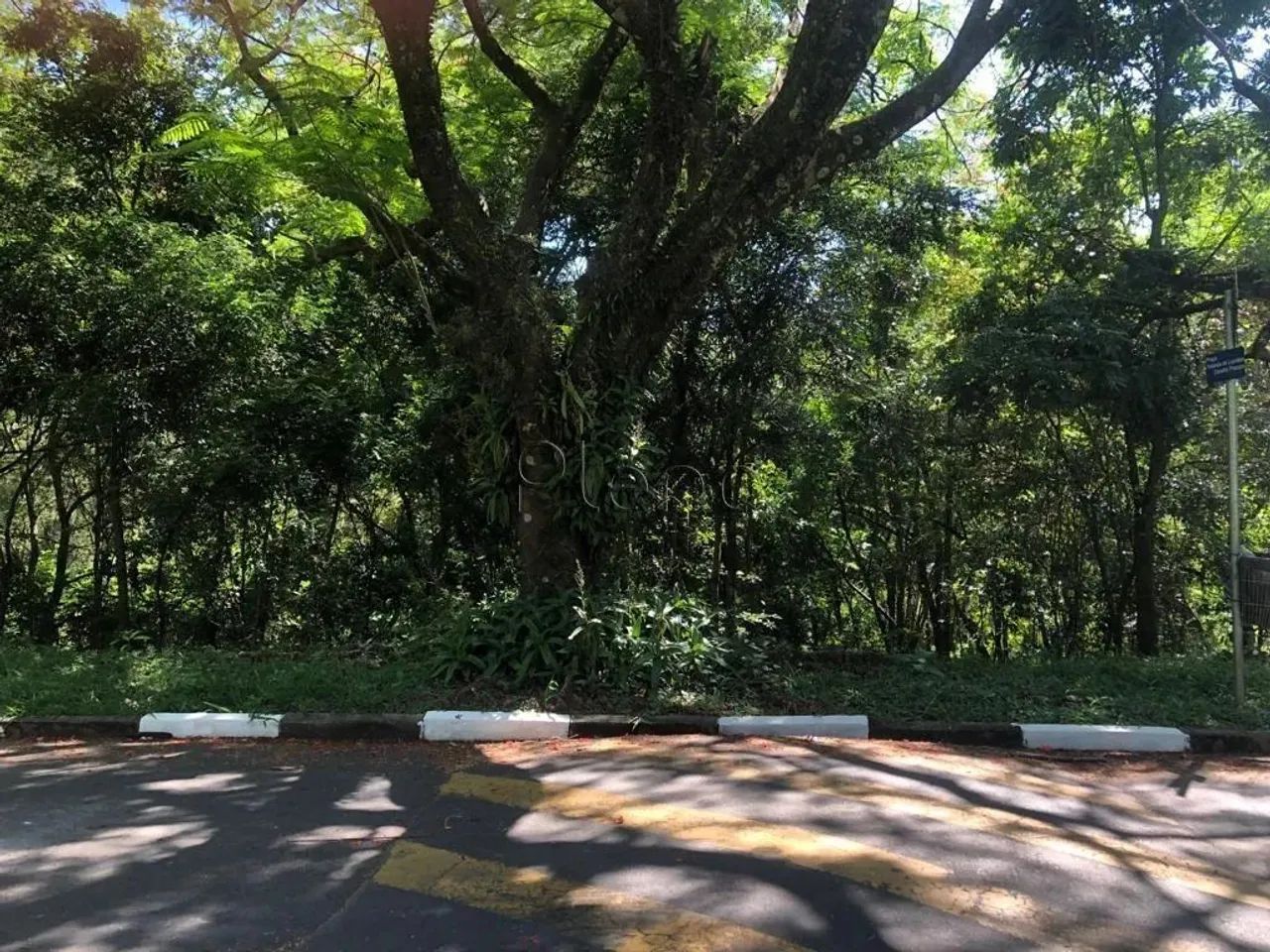 Terreno à venda com 1.126,00 m² no Colinas do Ermitage (Sousas), Campinas - Foto 7