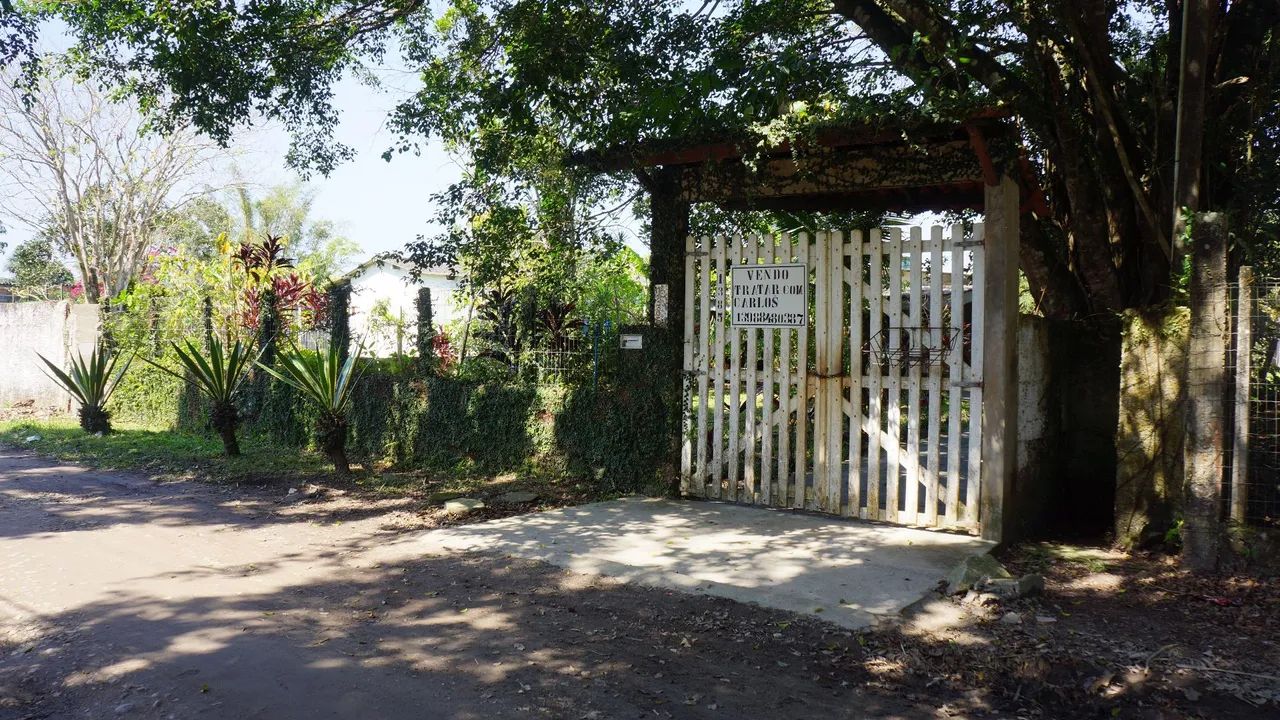 Foto - Peruíbe - Cajueiro