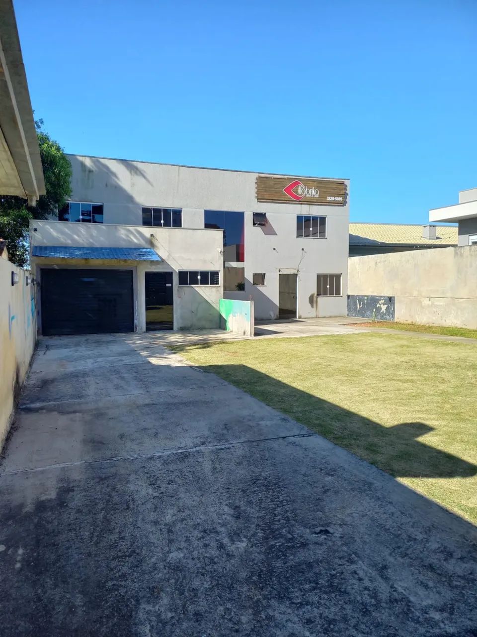 Foto - Ponta Grossa - Cará-cará