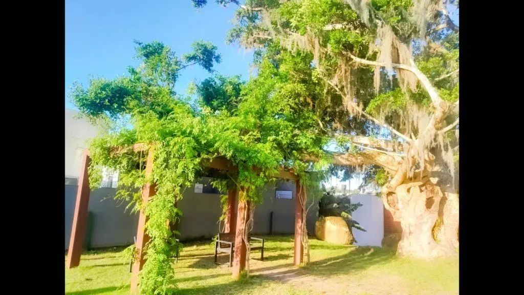 Terreno / Lote / Condomínio - Bairro Vila Augusta - Foto 10