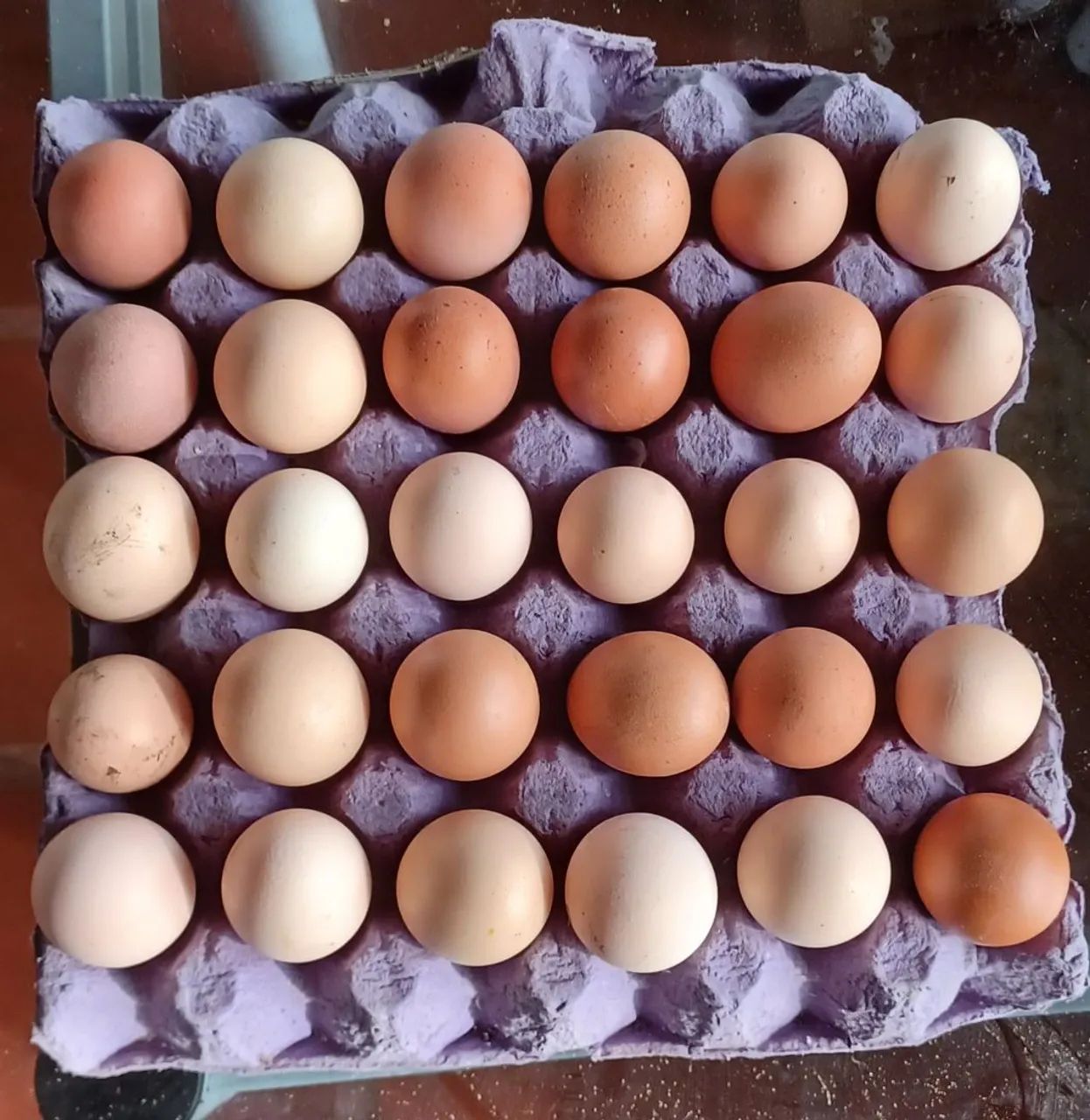 Ovos de galinha caipira