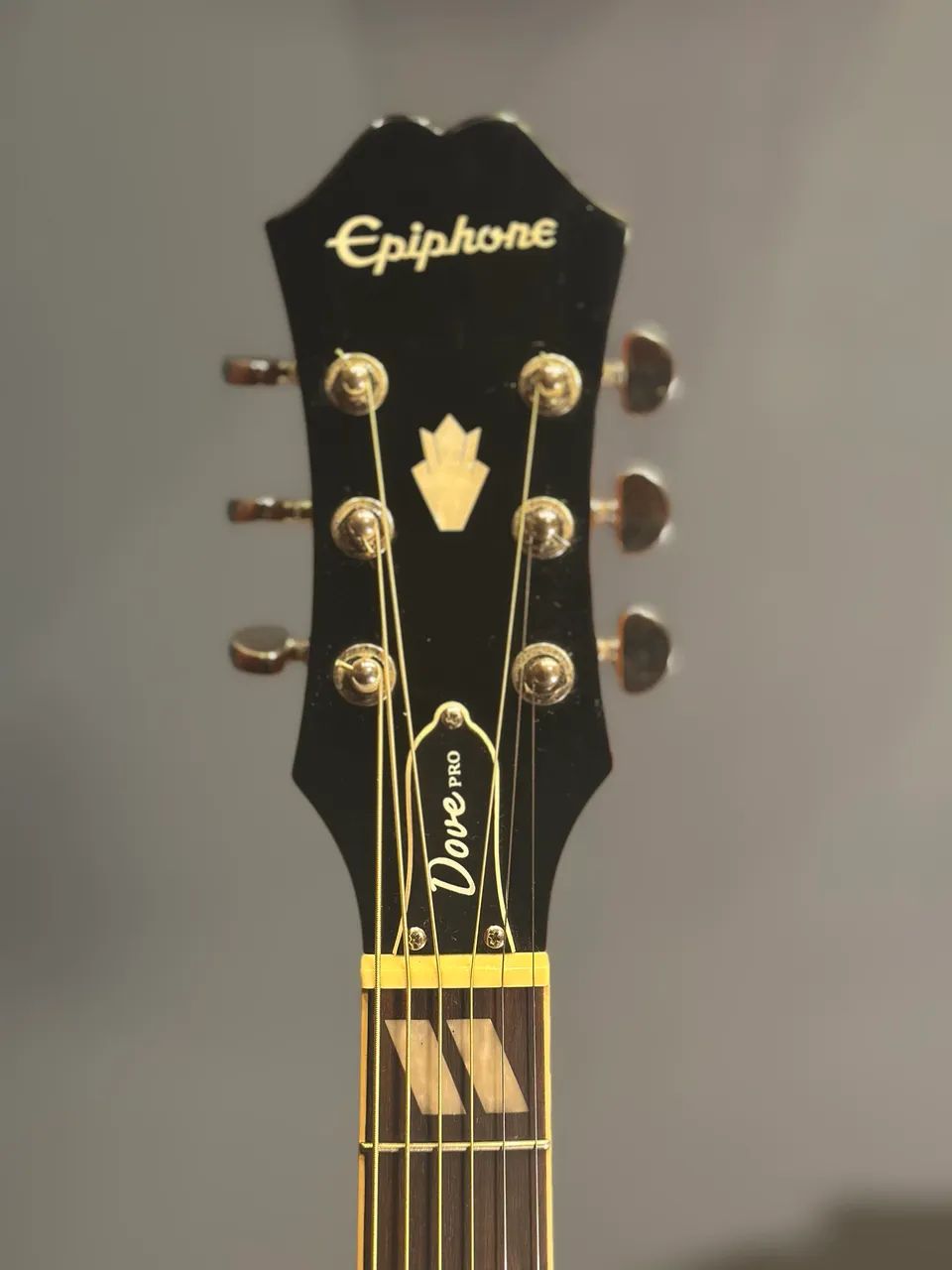Epiphone DOVE NA Fishman搭載 Epiphone DOVE NA Fishman搭載 Epiphone Dove Pro Indonésia ? Fishman
