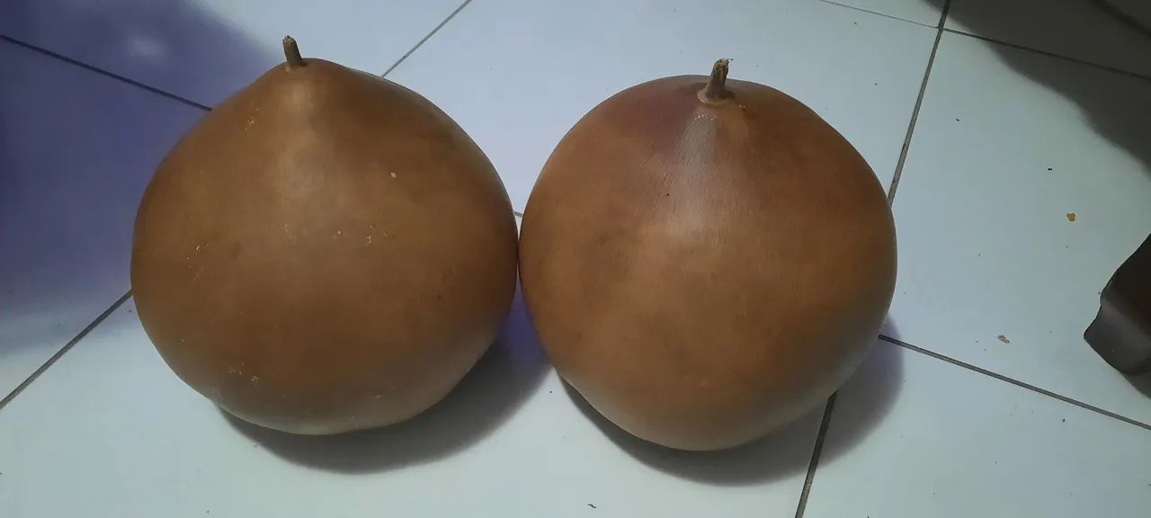 Cabaças Naturais64295456635395120