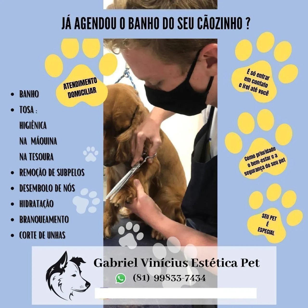 Banho e Tosa em domicílio 