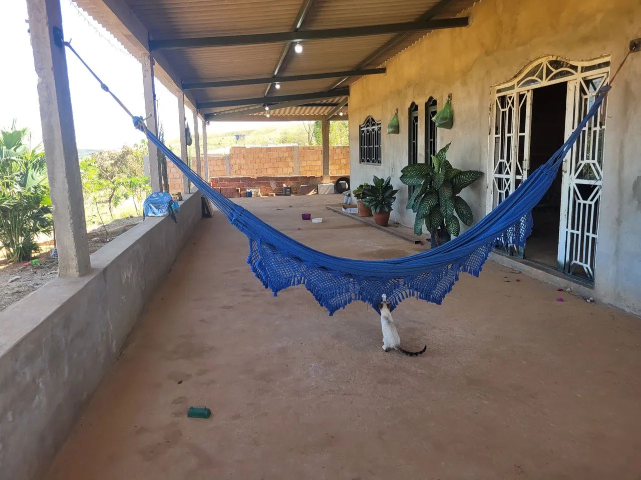 Foto - Brasília - Ceilândia Norte (Ceilândia)