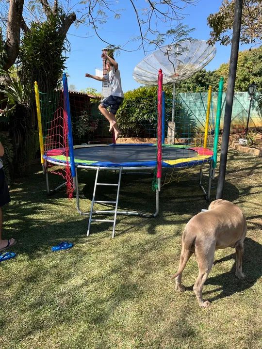 Cama elástica 3,06M - Foto 3