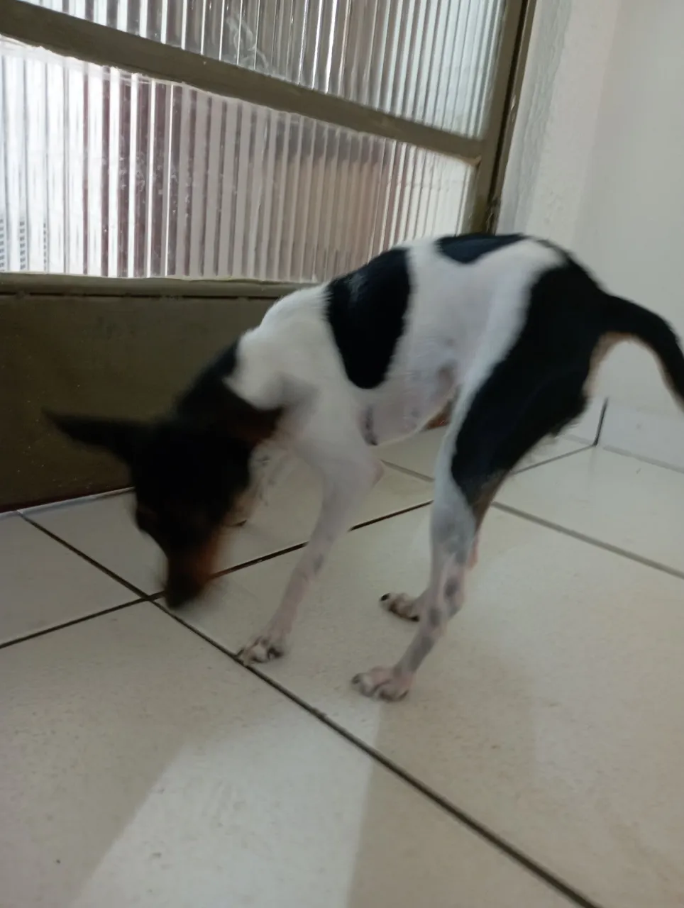 Vende se