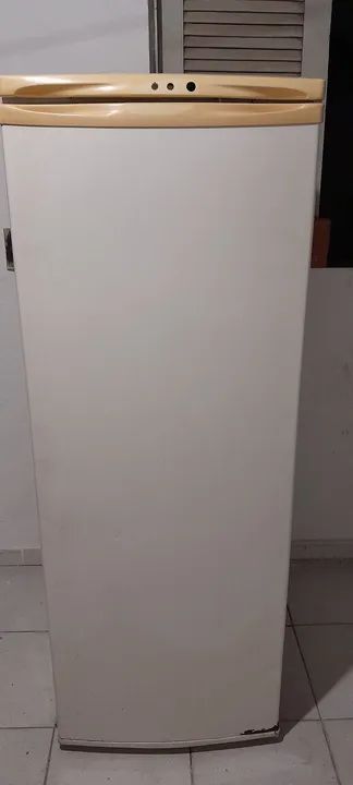 Geladeira Conservada Funcionando Bem