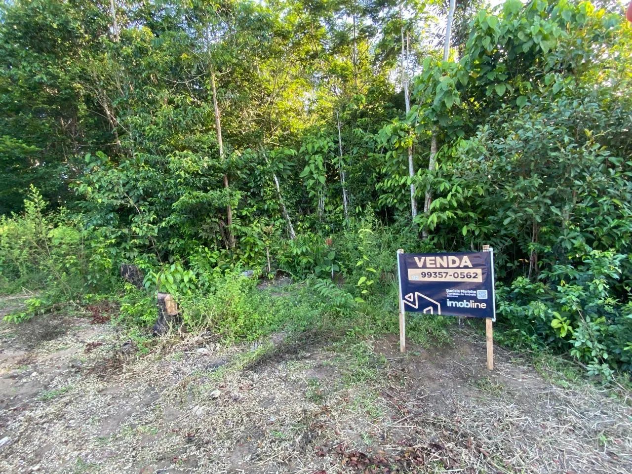 Terreno na estrada do Caldeirão.  - Foto 2