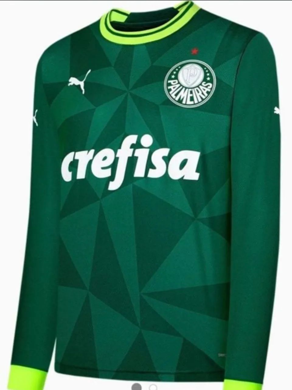 CAMISA PALMEIRAS MANGA LONGA
