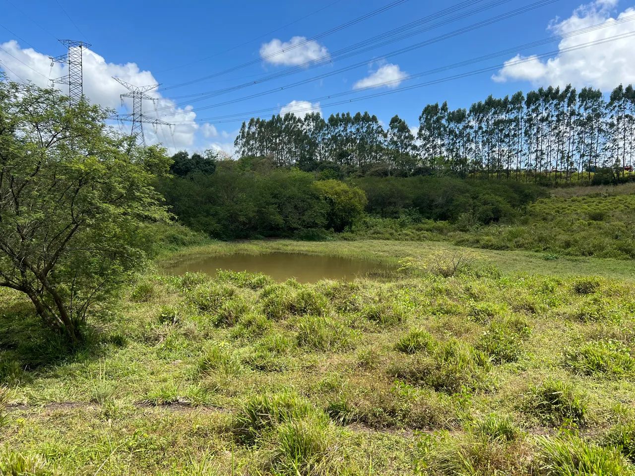 Chácara no Povoado Tabocas - Socorro * - Foto 8