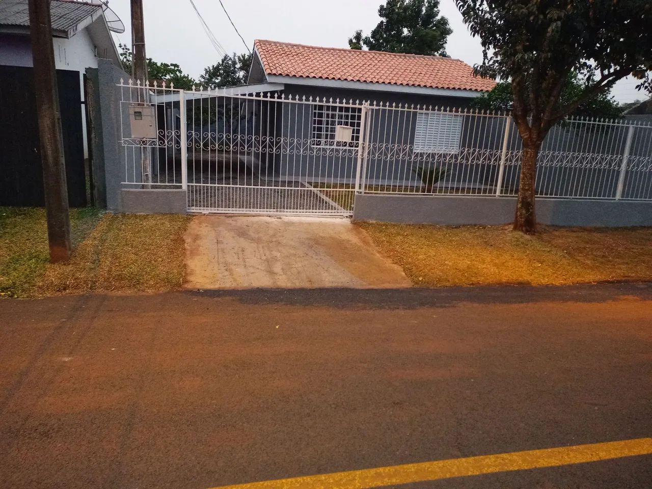 Foto - Foz do Iguaçu - Ipê