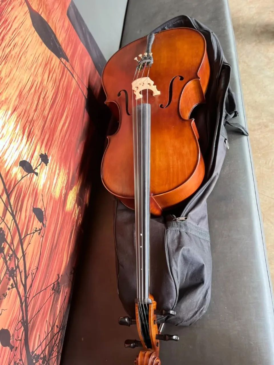 VIOLONCELO EAGLE 4/4 - Foto 2