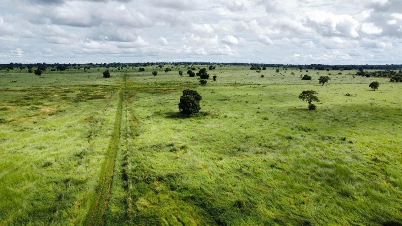 Fazenda à venda 148 alq em Nova Crixás-GO  - Foto 3