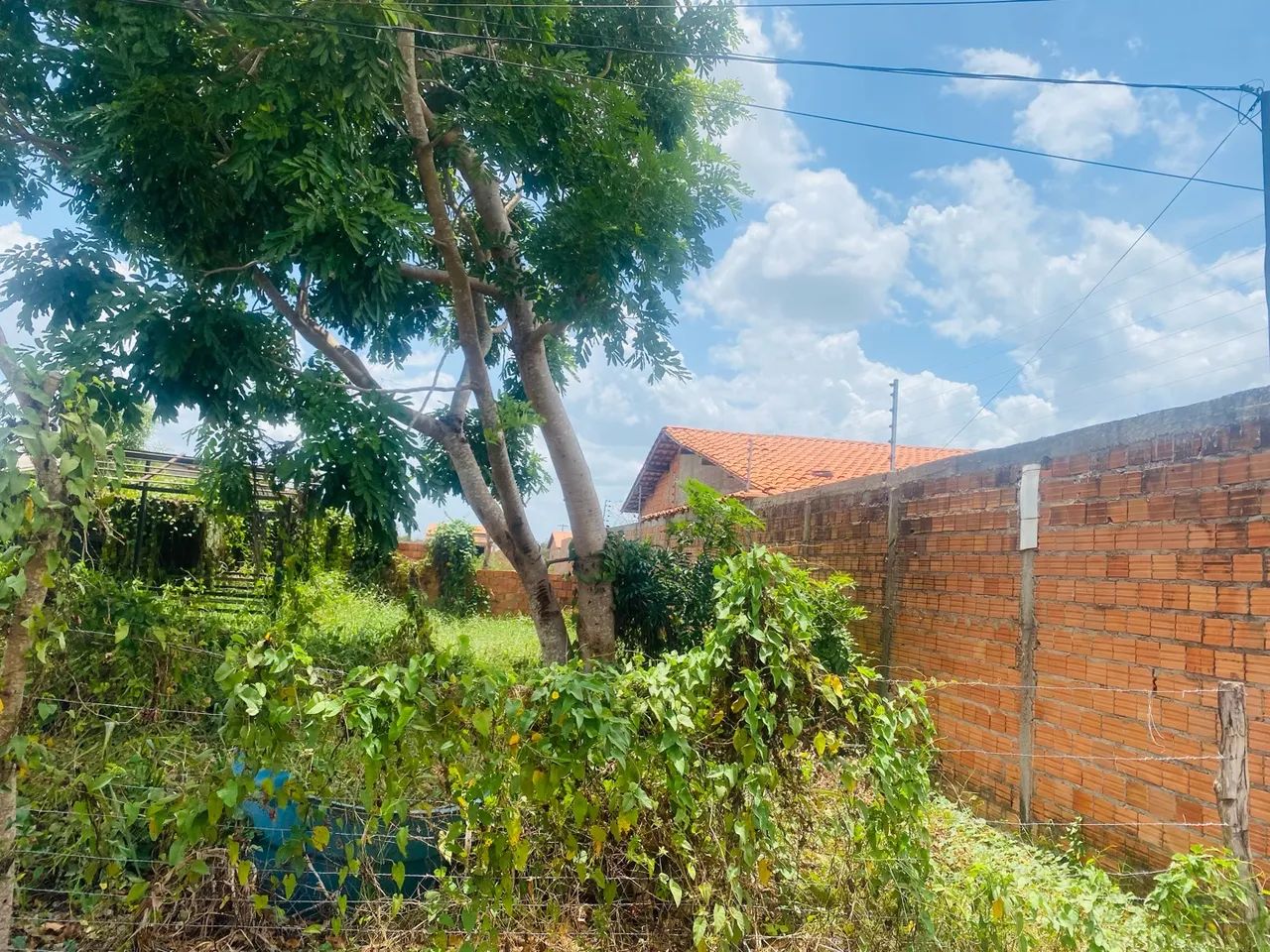 Vendo esse terreno - Foto 2