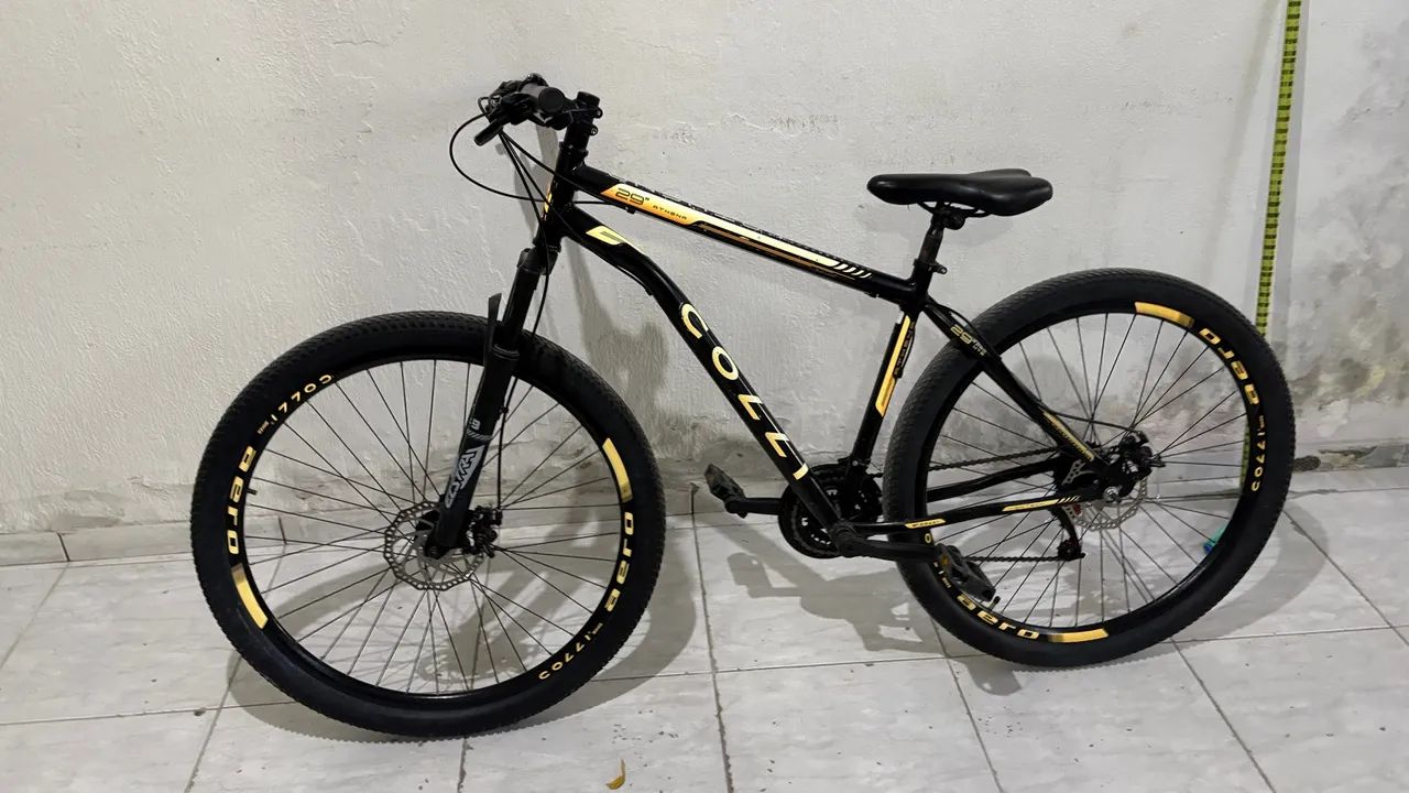 BICICLETA COLLI ARO 29