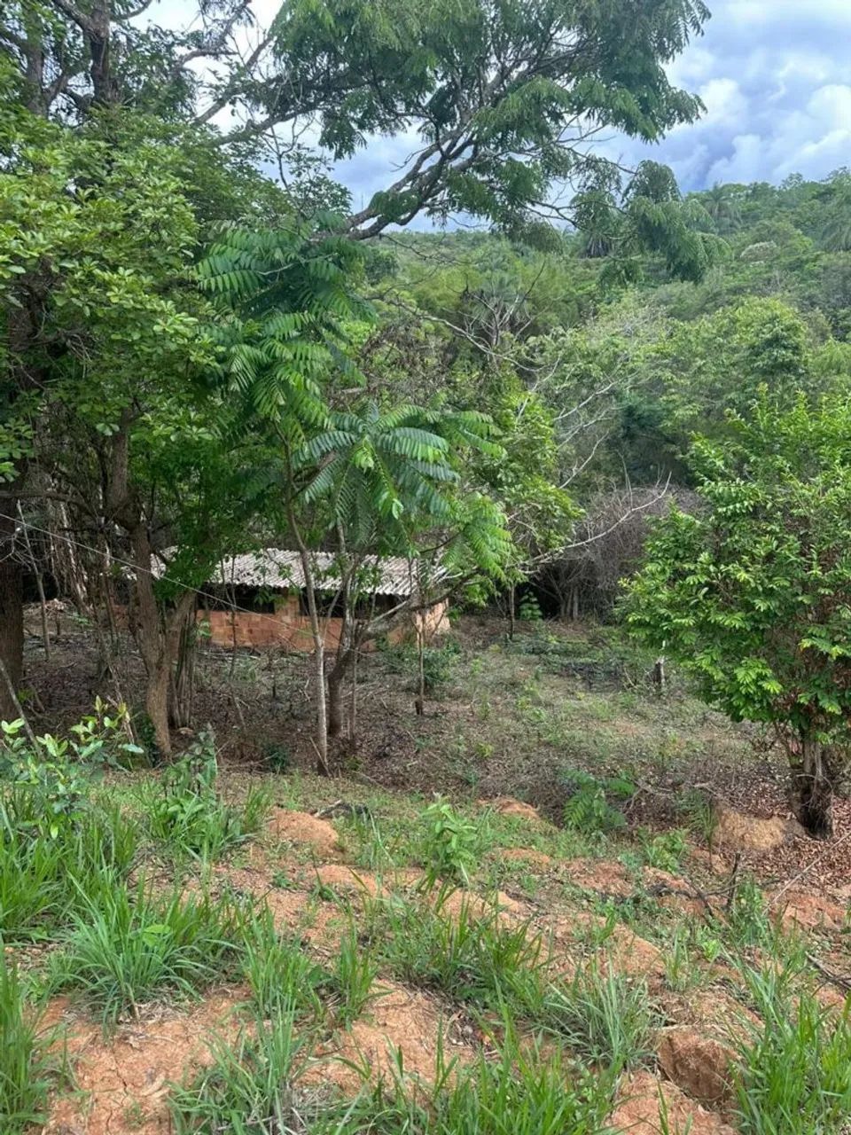 Lindo Sítio Morada da Serra  - Foto 4