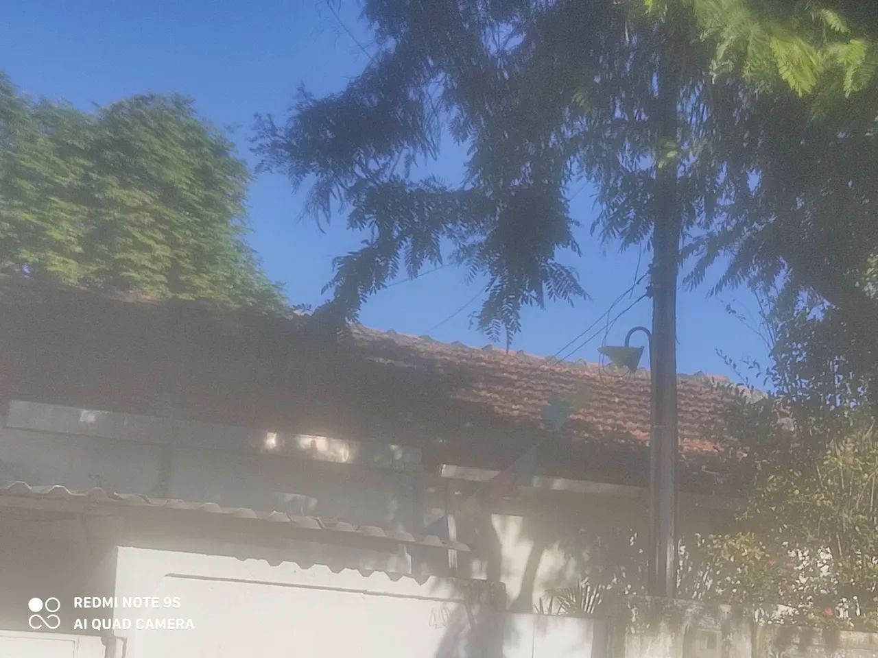 Doação de telhas inglesa - Foto 3