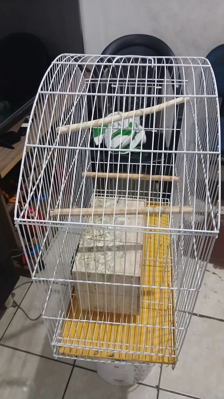 Vende se uma gaiola grande  - Foto 2