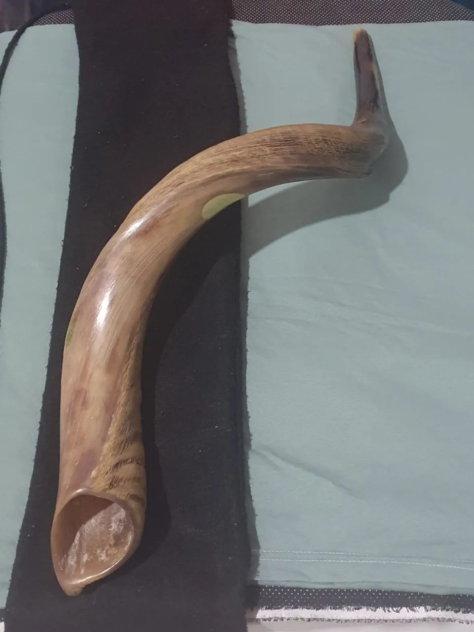 Shofar de Israel - 2026