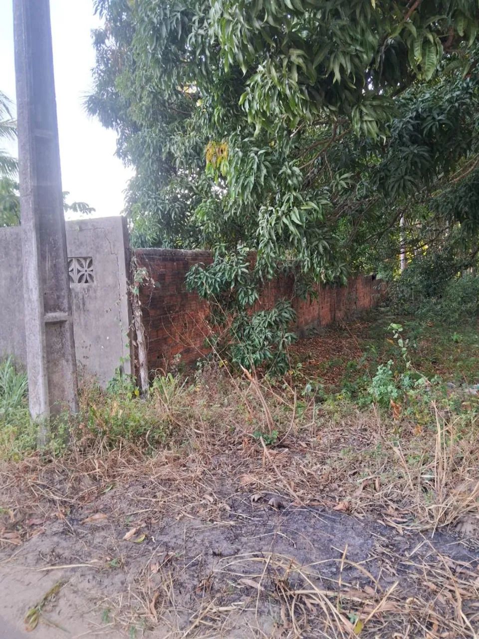 Terreno Murado e bem Localizado  - Foto 3