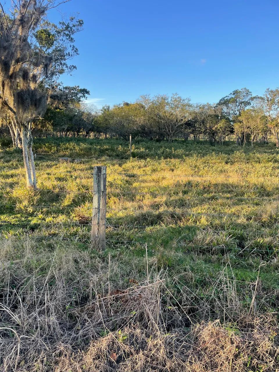 VENDO TERRENOS PRÓXIMO A GUARDA DO EMBAÚ  - Foto 3