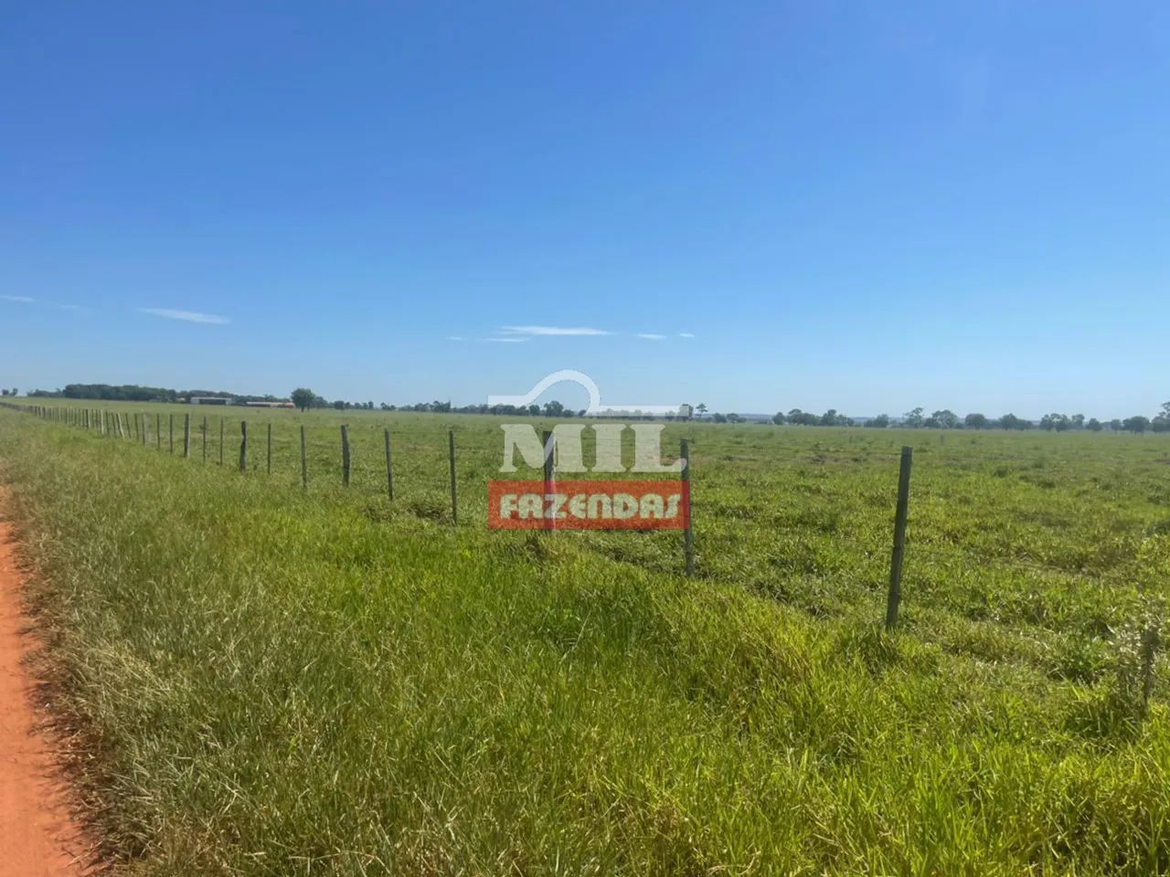 Fazenda 2.000 Hectares Nova Alvorada - MS - Foto 3