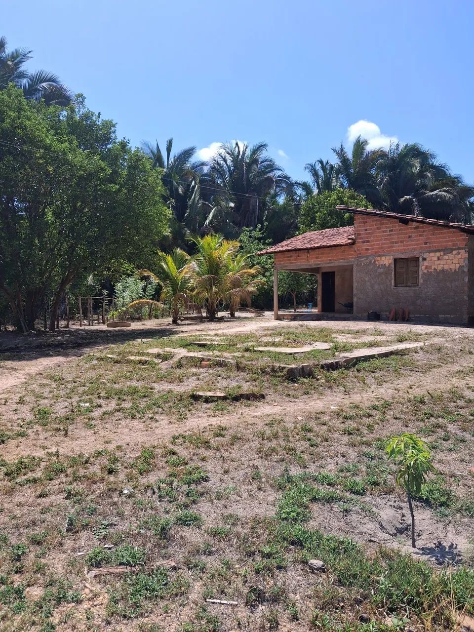 Sitio próximo à lagoa Alegre  - Foto 5