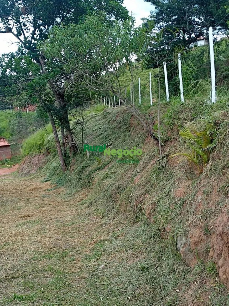 CHÁCARA FORMADA COM RIO NOS FUNDOS Á VENDA EM SILVEIRAS-SP - Foto 5