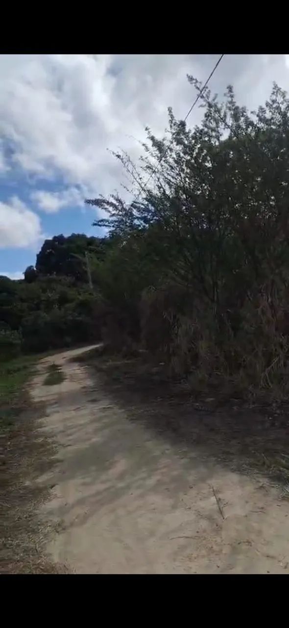 Vendo Lote 5 x 23m - Foto 3