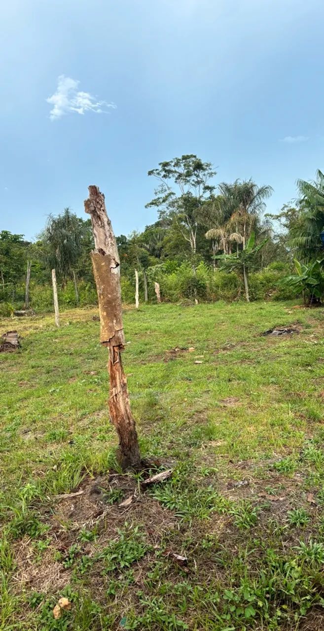 Terreno - Foto 3
