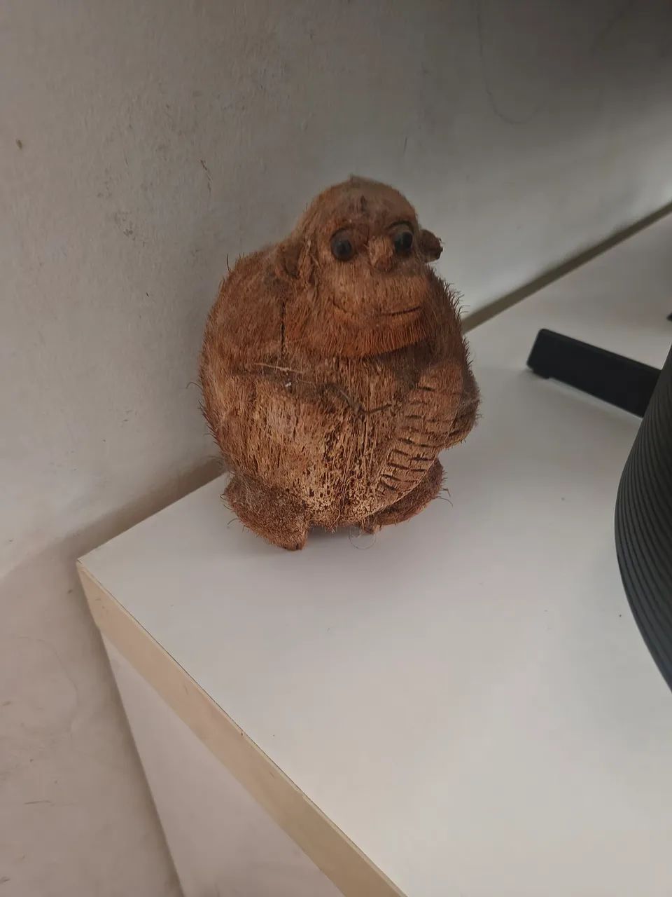 Macaco de coco - Foto 3