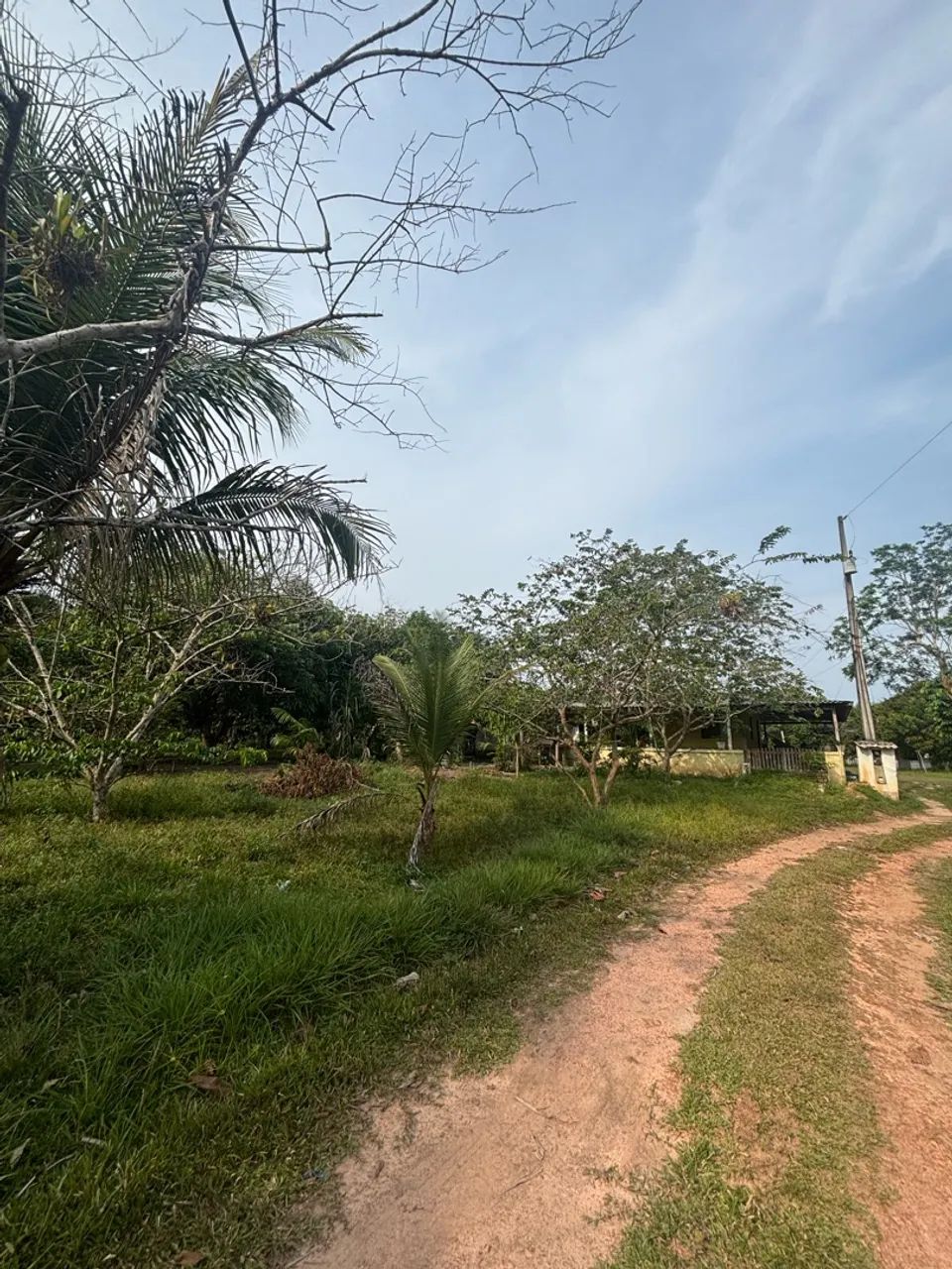 Sítio na BR 174 - KM 125 - Foto 4