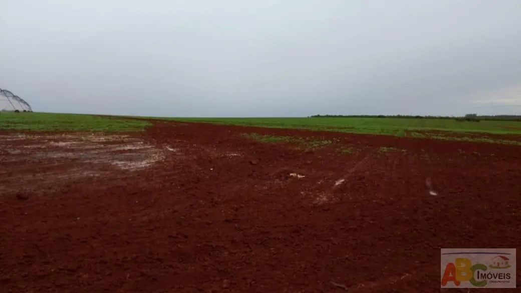 Fazenda para Venda em Bom Despacho, rural - Foto 3